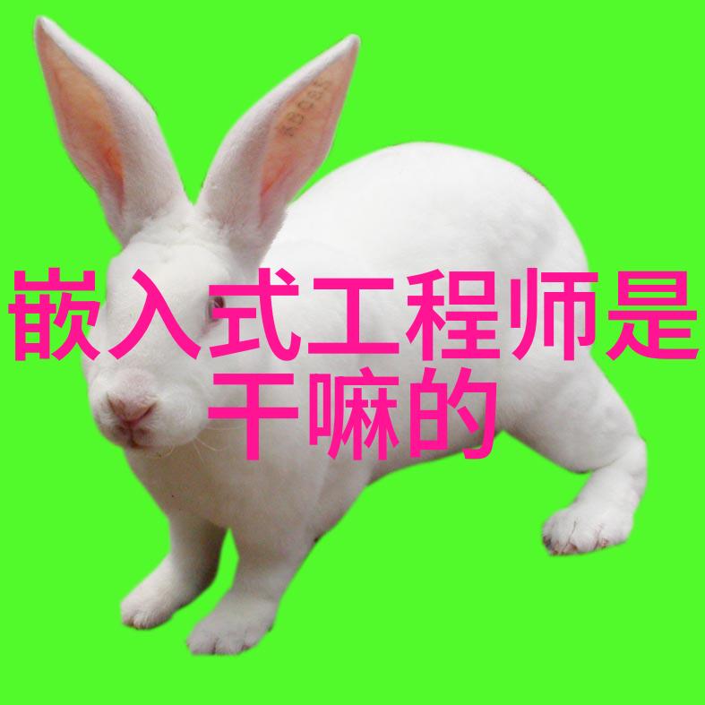如何正确使用多米尼克计数器在电学研究中