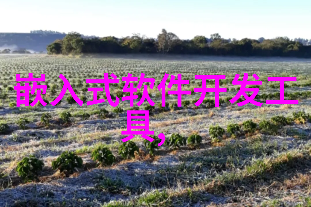 住小帮我是不是也可以当个小帮手