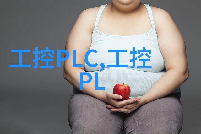 布袋除尘器堵灰的原因设备维护不当引起的粉尘积累问题