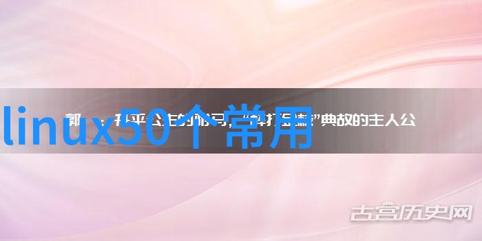 公司可行性研究报告编写服务