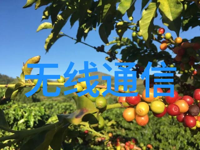 探讨哺乳动物胃部粘附因子A (GPI-anchored adhesion molecules) 在食