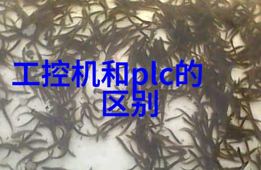 不锈钢丝网填料网耐腐蚀的金属筛网