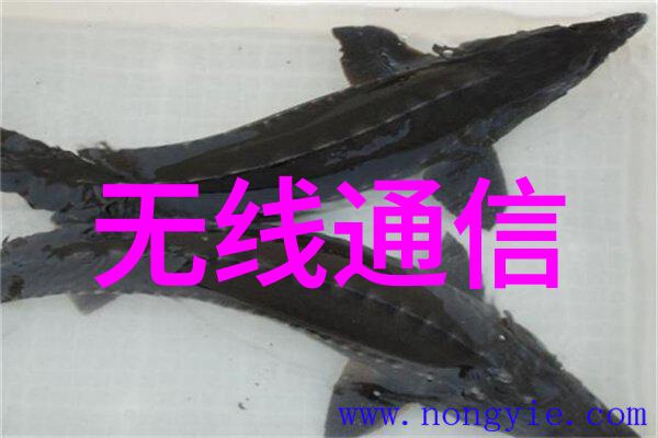教育与培训提升学生对化学工程和材料科学知识水平的手段