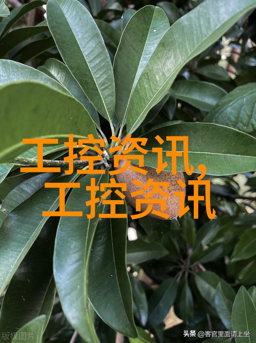 不锈钢反应罐之歌在工业的怀抱中奏响生命的乐章
