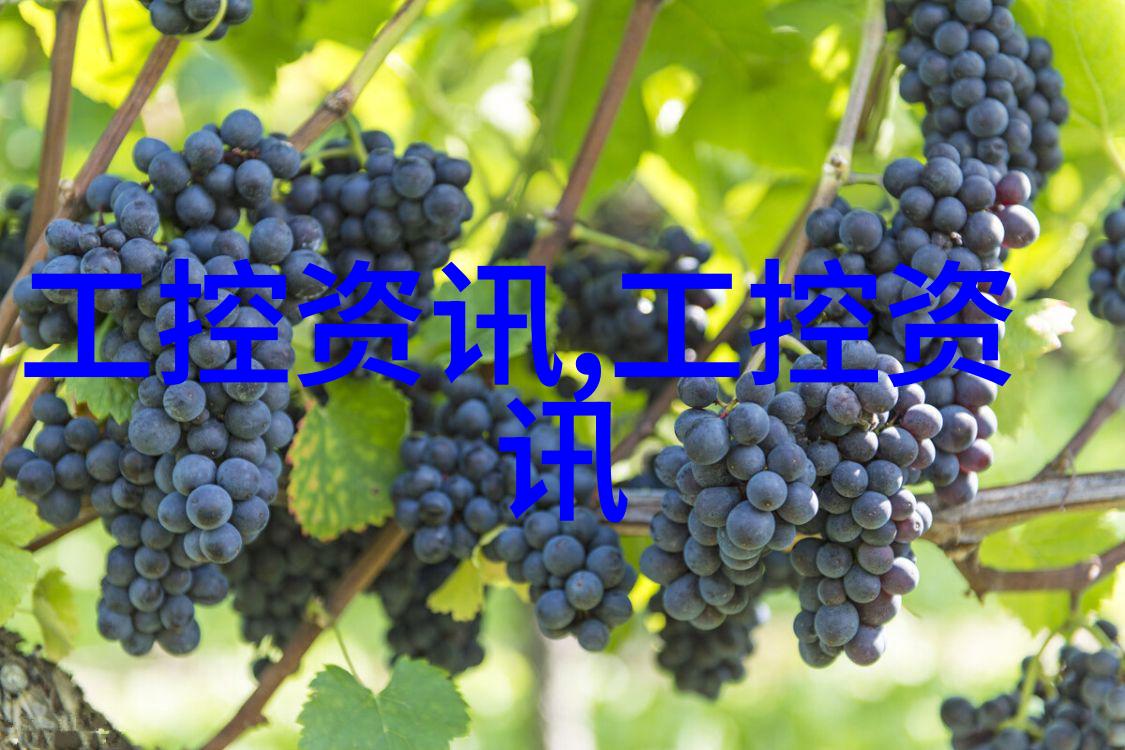 实验室仪器维护与保养指南每种类型的装置都需要怎样的定期检查和修理