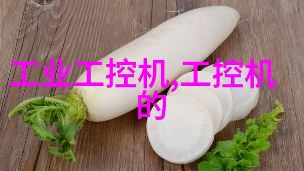 水利工程人才的未来探索学术与就业前景的双重洪流