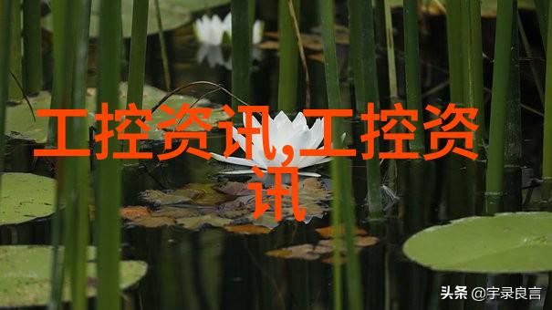 创新驱动如何有效推进新产品上市计划