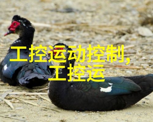 撰写报告的艺术精湛技艺与创意融合