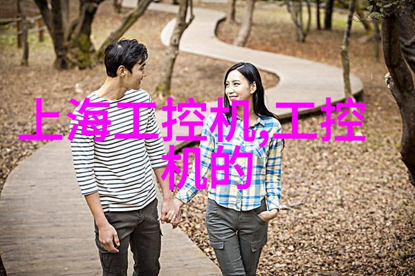 1吨燃气蒸汽发生器高效能热源系统的核心组成