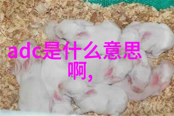 不锈钢波纹板填料的优缺点是什么
