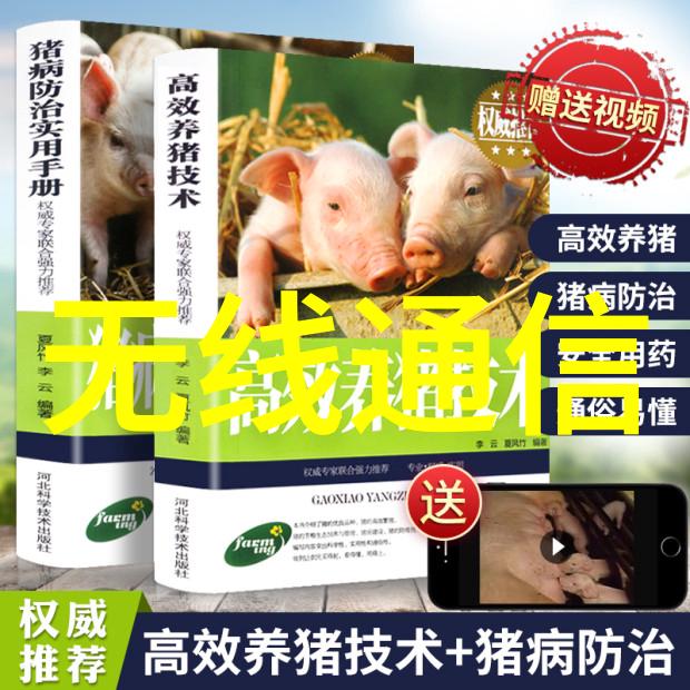 丝网波纹填料装填技巧之美妙艺术