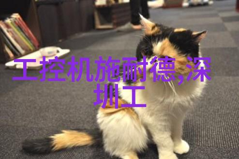 如何选择合适的化工灌装机械