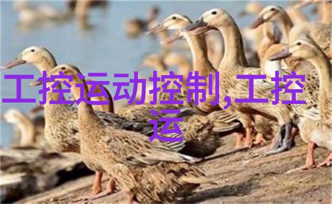 买化工一般上什么网我通常会去淘宝或者京东看看有没有好得交易