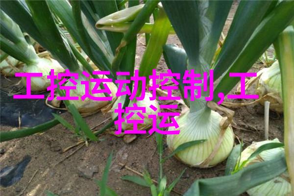 化学的基石无机化工原料的多样面貌