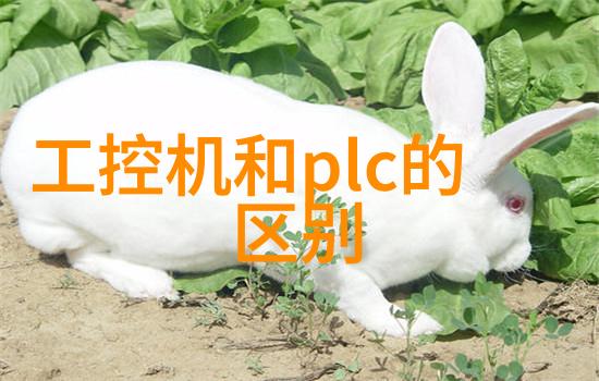黑金分割煤炭分选机的运作原理与技术进步