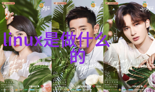 探秘1区2区3区4区揭秘那些不卡码网站背后的神秘世界