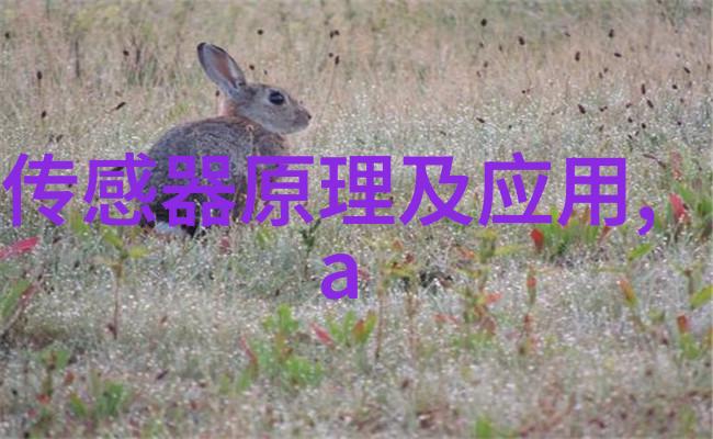 波纹深处的秘密T型填料背后的谜团