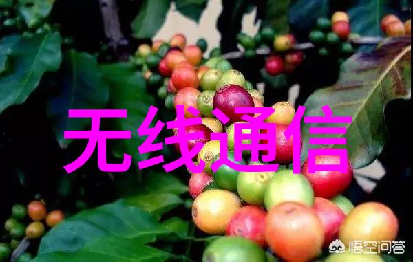 一刀切的防疫措施全国各地必须接受核酸检测