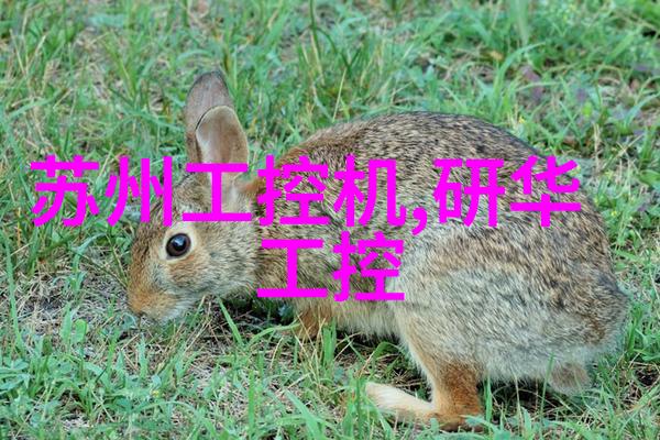 工业污水净化之旅从排放到再生