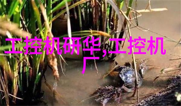 物料输送设备我是如何用一台小巧的机器解决大厂区运输难题的