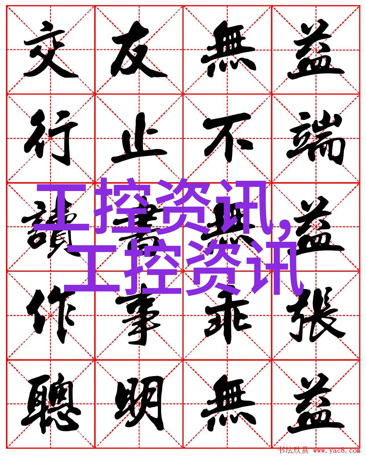 窝窝午夜看片网络视频平台的新风尚