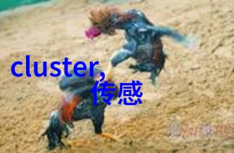 塑料丝网波纹填料新一代环保建材的兴起