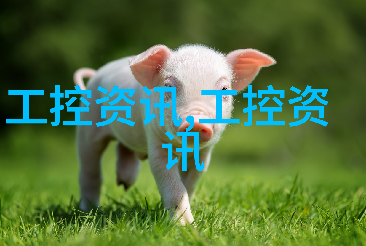寻找那片油漆和零件的海洋近在咫尺的汽配城探秘