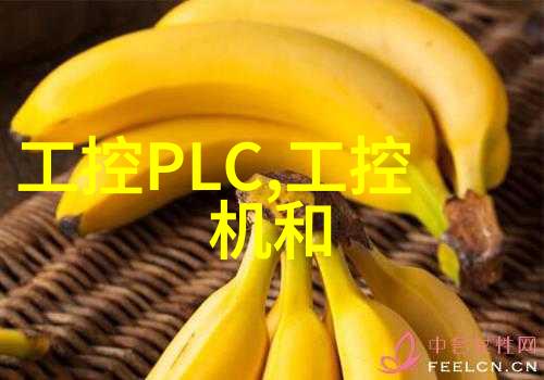 生物实验室设备厂家-精密检测的守护者探索高端生物实验设备的未来趋势